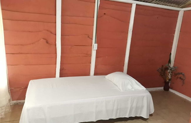 Millar de Aves - Foto 3