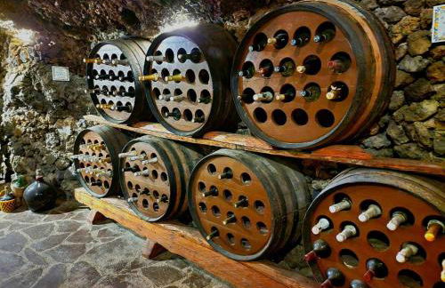 Finca Los Loros Icod de los Vinos - Foto 14