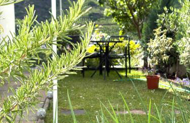 Gartenstudio Anila - Foto 50