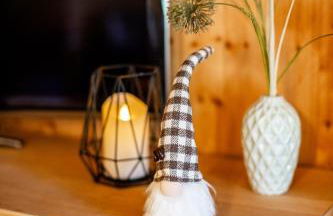 Chalet am See - Ferienhaus - Foto 5