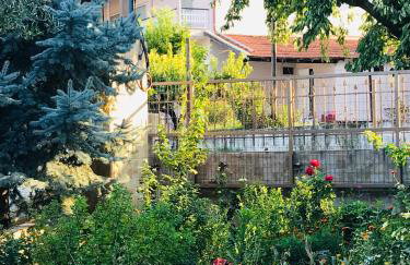 Guesthouse Adonis - Foto 59