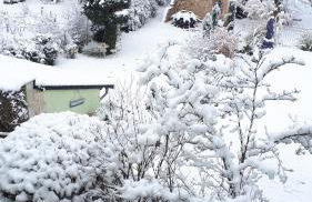 Ferienwohnung Pension am Weinberg - Foto 28