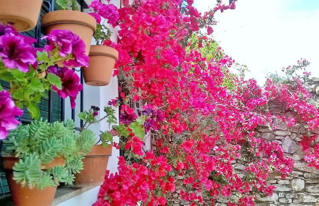 Hostería Casa Adriano - Foto 32