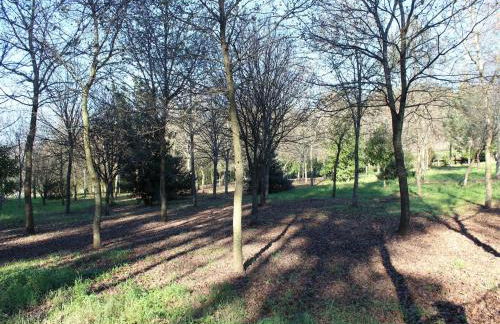 Cottage in Santa Comba With Pool - Photo 65