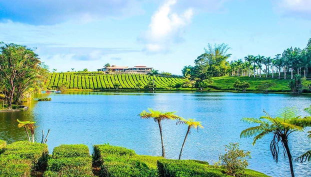 Mauritius Island Private Tea Tour - Foto 2