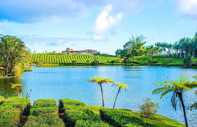 Mauritius Island Private Tea Tour - Foto 2