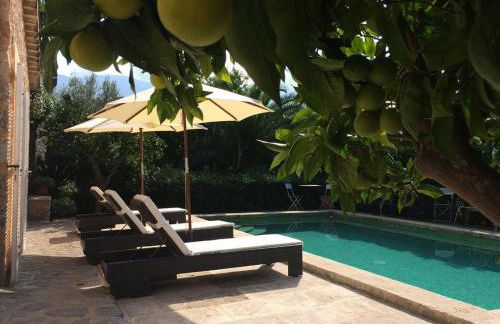 Ses llimoneres - Foto 44