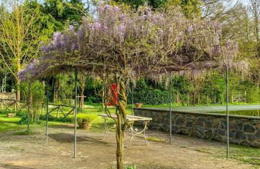 Madeleine: Luxury Villa in Italy - Foto 31