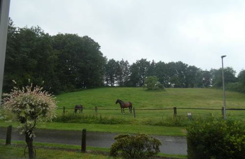 Ferienwohnung Inauen s Kiek in - Photo 11