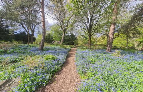 Hygge Apartment - Foto 43