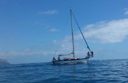 Ocean Cliff - Foto 19