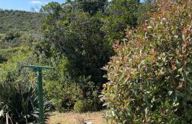 Roulotte individuelle dans le maquis Corse - Foto 14