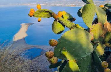 La Casa Di Rosa - Foto 43