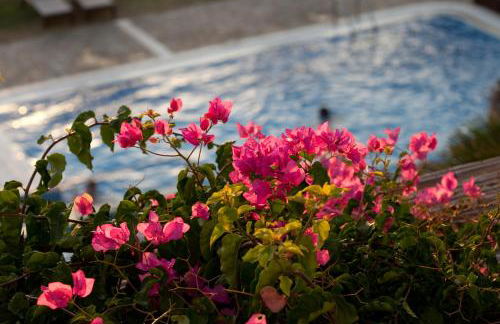 Antonina Hotel Apartments - Foto 84