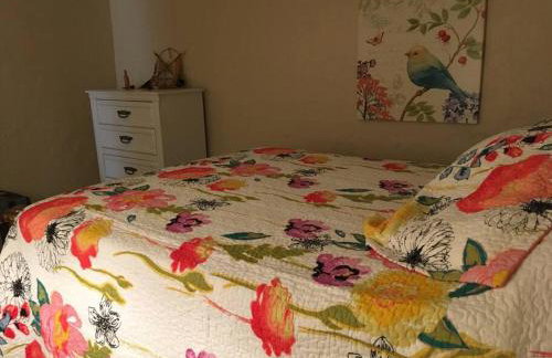 Gallo Libre Ranch House in Arivaca, AZ - Foto 24