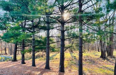 Winifreds Hideaway - Photo 19