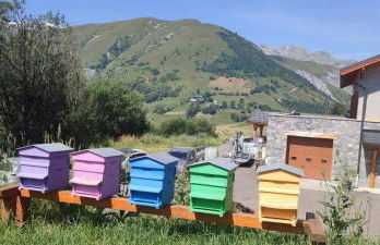 Saint-Sorlin D'Arves pied des pistes 310km de pistes tous niveaux - Photo 39