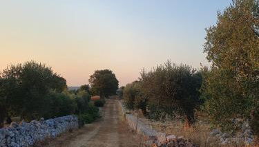 Trullo cumma Rosa - Foto 2