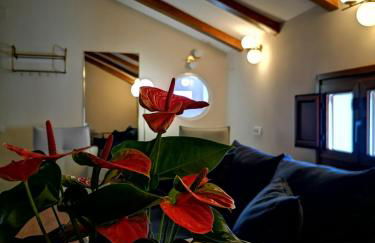 A casa da mãe - Foto 15