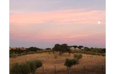 Monte do Saltamontes - Photo 37