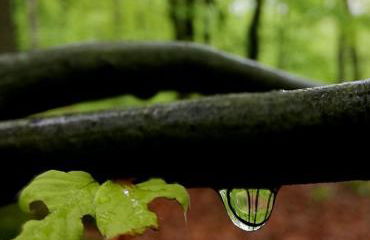 Odenwald Lounge im Naturpark Bergstraße-Odenwald - Photo 22