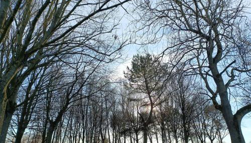 Willow View Boutique Streamside Retreat near A1 J59, Durham & Darlington - Foto 5