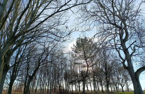 Willow View 3 Bedroom Home with Garden, Newton Aycliffe - Foto 32