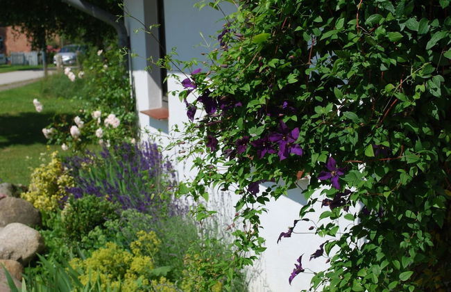 Landhaus mit Schwimmbad in Dargun - Foto 23