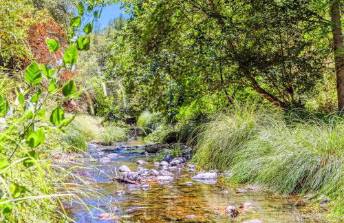 Lovely Creekside Wine Country Home in Glen Ellen - Foto 34