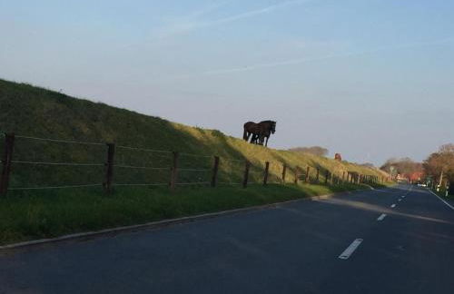 Ferienwohnung schöner Ausblick - Foto 15