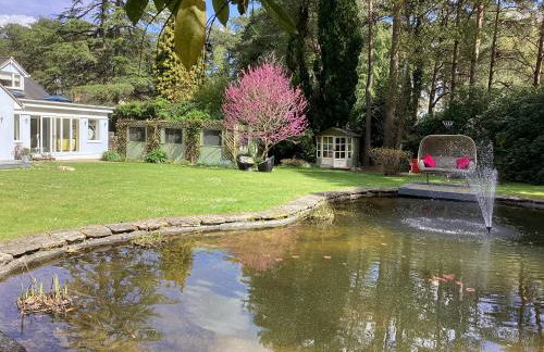 Ladang lodge - Foto 10