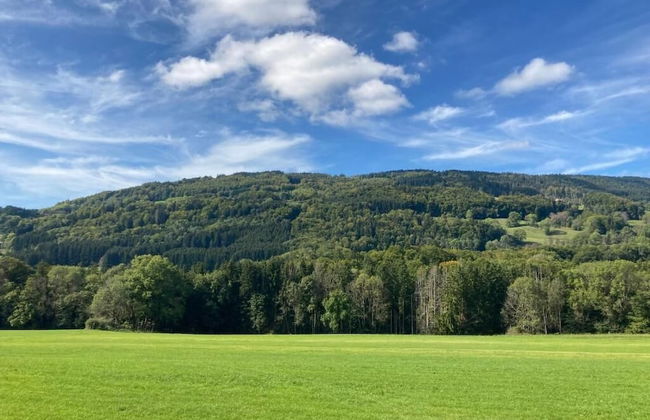 Les Cimes du Léman - Photo 38