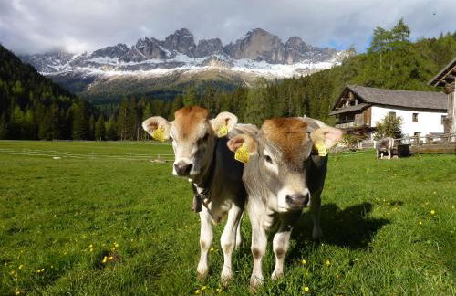 Kellnerhof - Foto 54