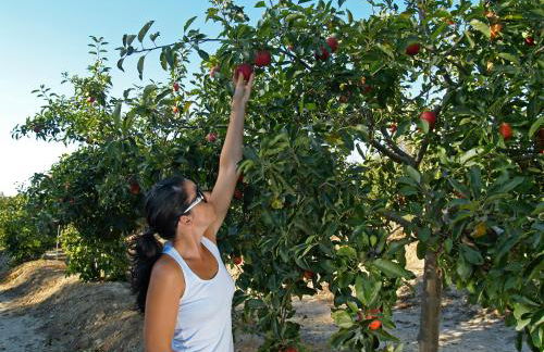 Herdade do Sardanito da Frente - Foto 69