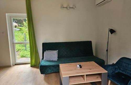 Domek Jelonek nad jeziorem i rzeką - Foto 17