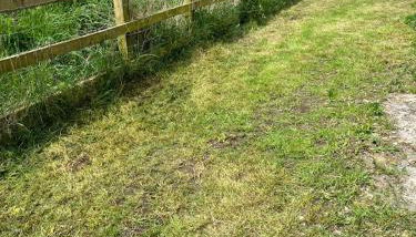 3 Bedroom Dog Friendly Cottage with Off Lead Field - Foto 5, Garden