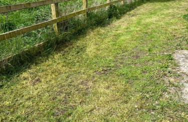 3 Bedroom Dog Friendly Cottage with Off Lead Field - Foto 5