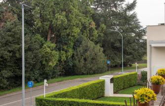 Casa Patricia - Foto 48