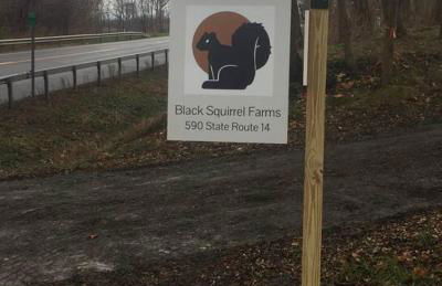 Modern, bright & calm 1 BR / 1 bath farm retreat - Photo 23