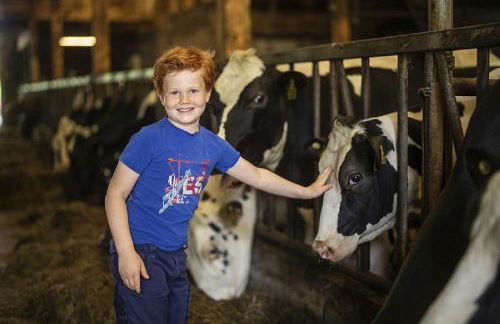 Gut Frielinghausen - Foto 31