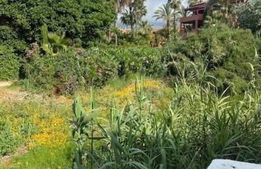 Casabel Beach Villa Playa Alicate Marbella - Photo 66