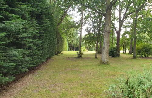 The Reading Chalet and gardens, suitable for contractors - Photo 18