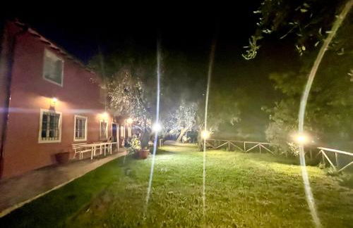 Podere Il Piantoneto - Foto 25