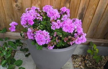 The Pod Quiet Sun Patio Fab Steam &Countryside Views - Photo 16