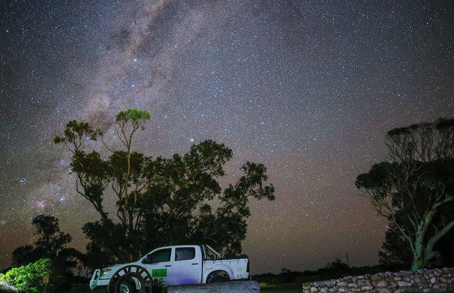 Coodlie Park Eco Retreat - Foto 37