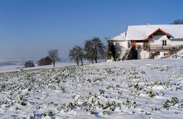 Geinberg Suites & Vianova Lodges - Photo 72