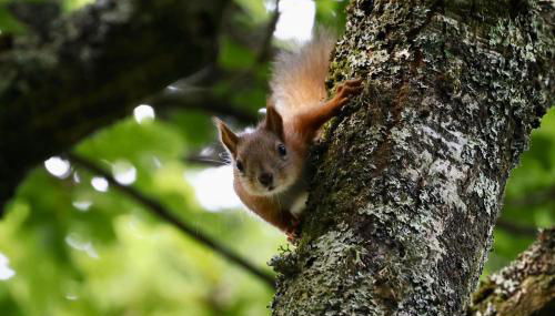 Hobbits Landing - Foto 3