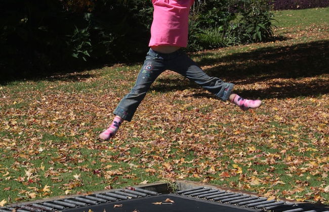 Ardmore Guest Farm - Photo 41