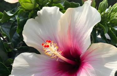 Ferienwohnung Poll - Foto 15