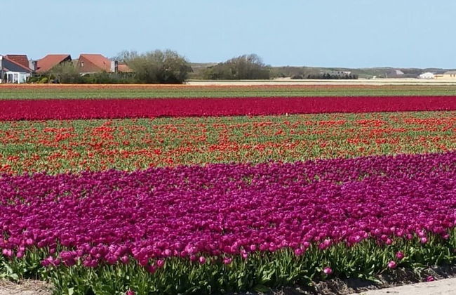 Summer Melody Comfortable Holiday Residence - Foto 24